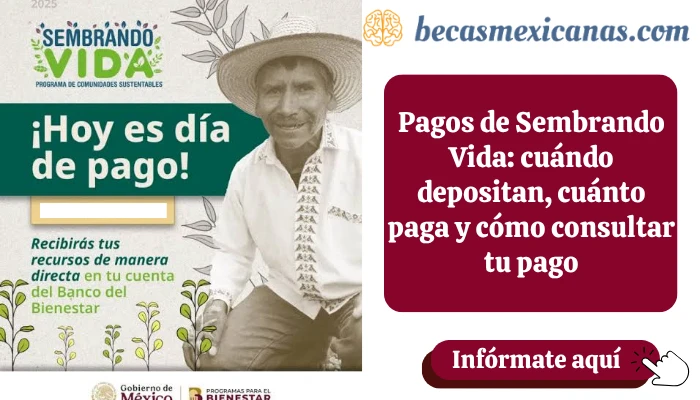 Campesino beneficiario de Sembrando Vida trabajando su parcela agroforestal